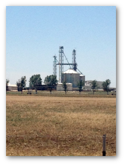Feed Mill